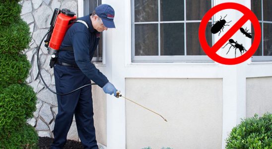 Köse Pire İlaçlama böcek ilaçlama ve haşere kontrolü — ilaclama-tr.com